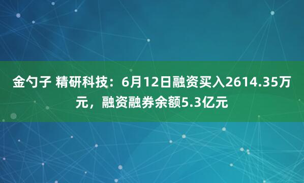 金勺子 精研科技：6月12日融资买入2614.35万元，融资融券余额5.3亿元
