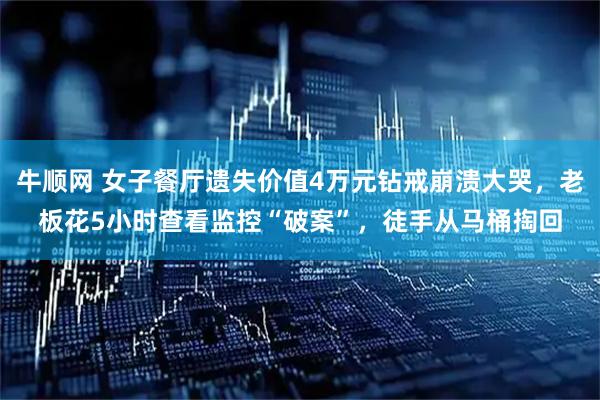 牛顺网 女子餐厅遗失价值4万元钻戒崩溃大哭，老板花5小时查看监控“破案”，徒手从马桶掏回