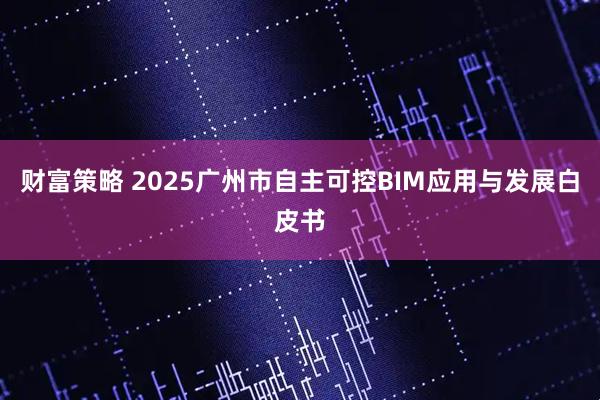 财富策略 2025广州市自主可控BIM应用与发展白皮书