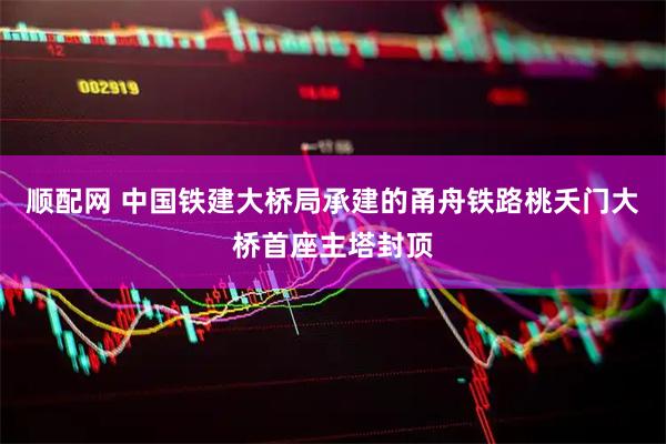 顺配网 中国铁建大桥局承建的甬舟铁路桃夭门大桥首座主塔封顶
