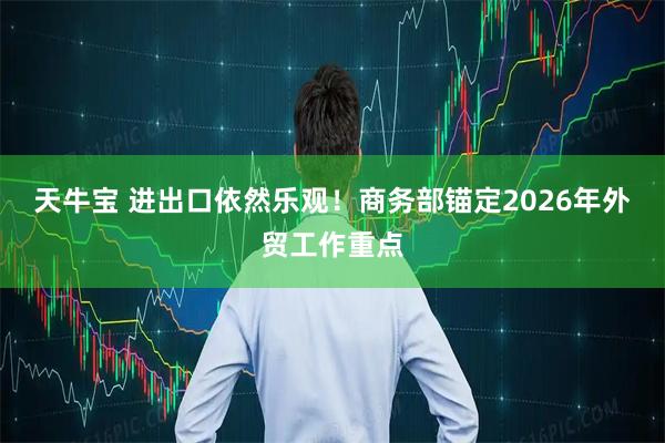 天牛宝 进出口依然乐观！商务部锚定2026年外贸工作重点